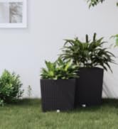 Deux jardinières noires tissées de différentes tailles sur de l'herbe près d'un mur blanc. Les jardinières contiennent diverses plantes vertes