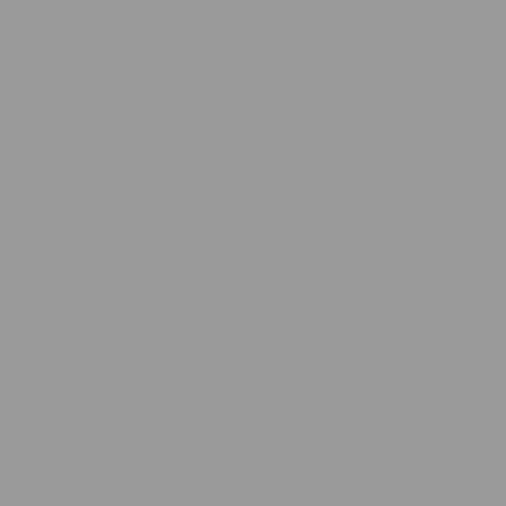 karaca-alisveris Abri de Jardin avec Toit prolongé Gris Clair 277x107x181 cm, Maison & Jardin, Pelouses & Jardins, Vie en extérieur, Structures extérieures, Cabanes & abris de Jardin, Gris, (Poids 41.56KG)