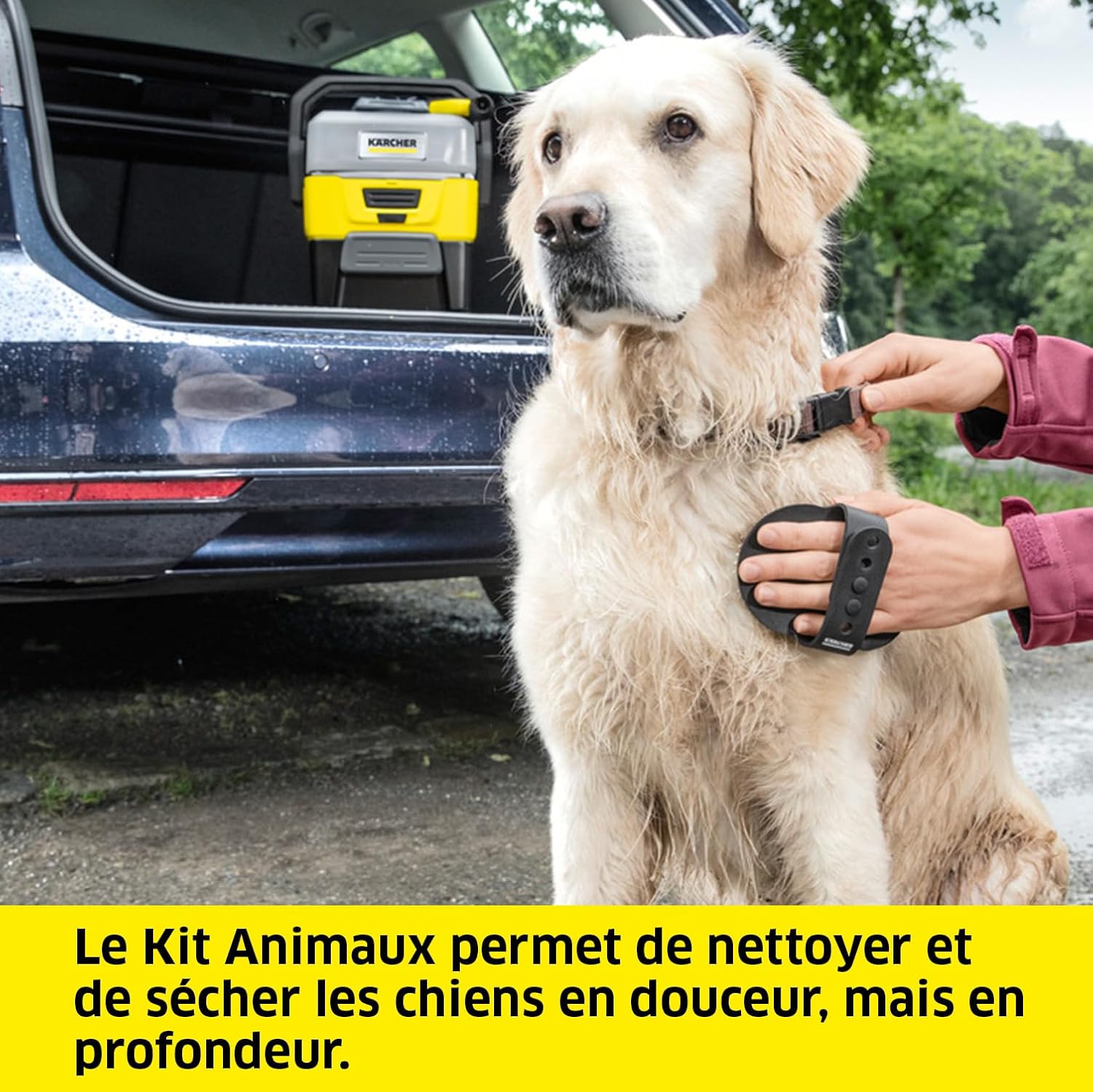 karaca-alisveris Nettoyeur à Pression Mobile OC 3 + Kit Animaux, Débit : 2 L/h, Réservoir : 4L, Tuyau : 2,8 m, Buse à Jet Plat, Buse Conique, Brosse Pet, Serviette pour Animaux Domestiques, Boîte de Rangement