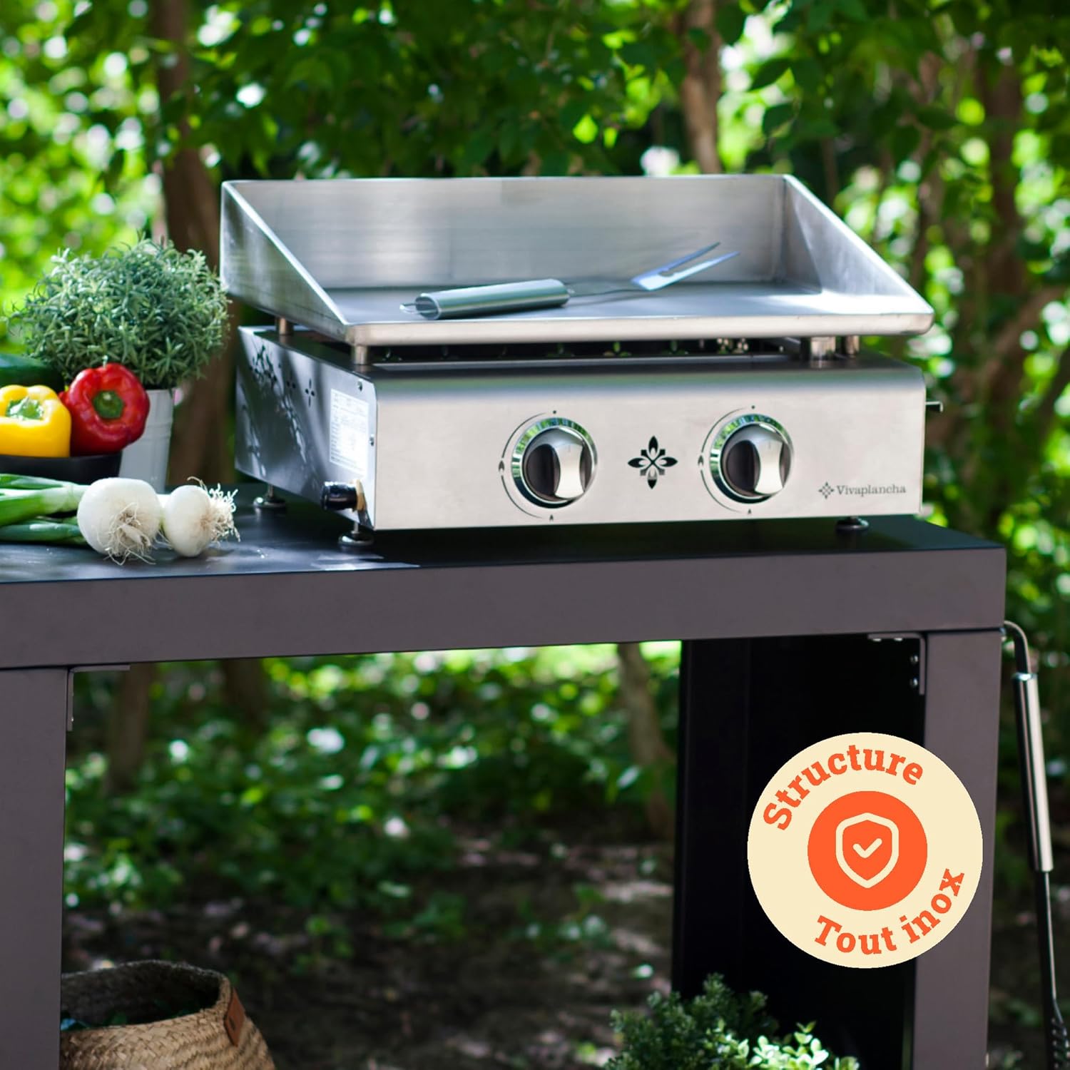 Plancha gaz inox - plaque 6 mm - cuisson semi-pro + accessoires