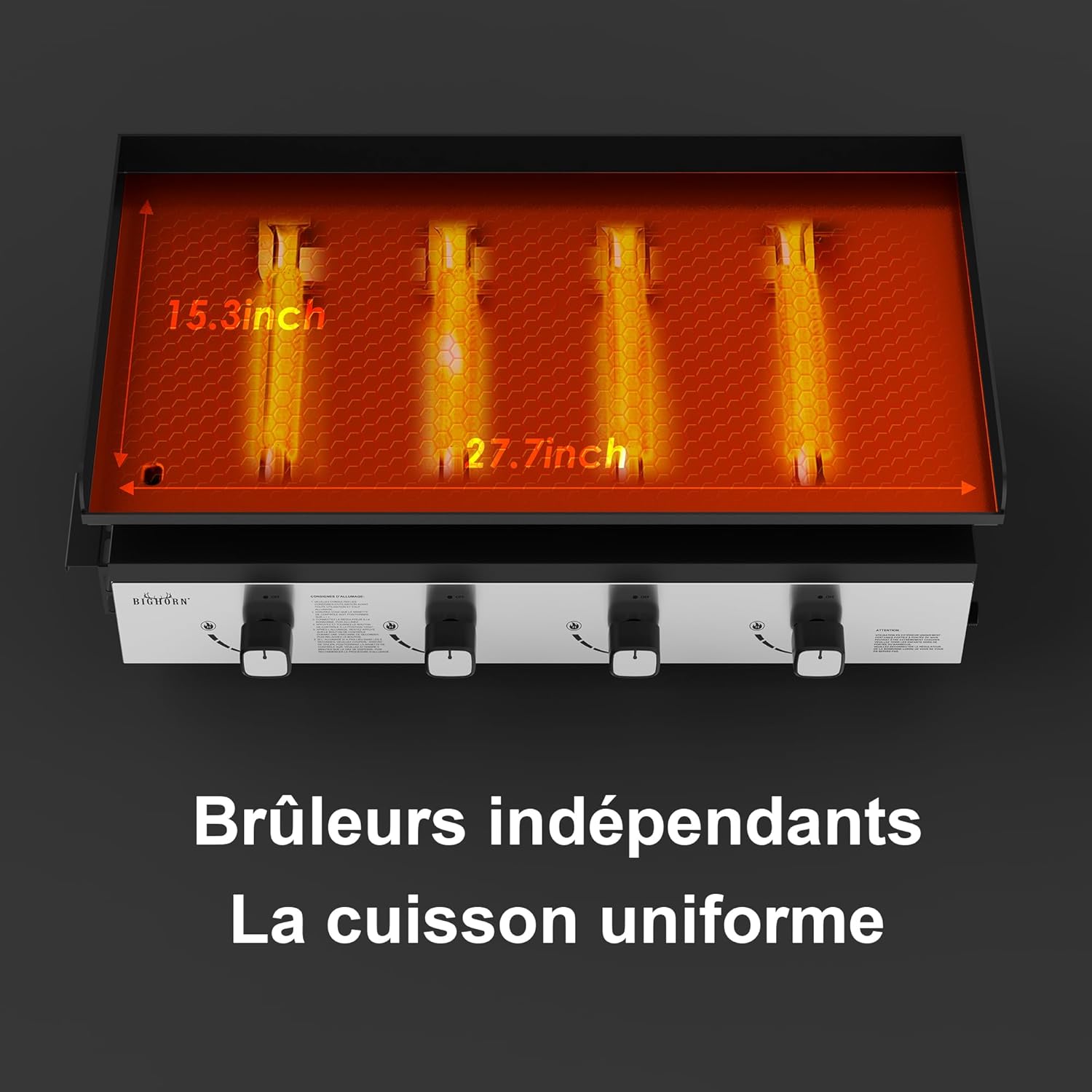 Plancha à gaz - 4 brûleurs, 10kW, noir, grande surface de cuisson