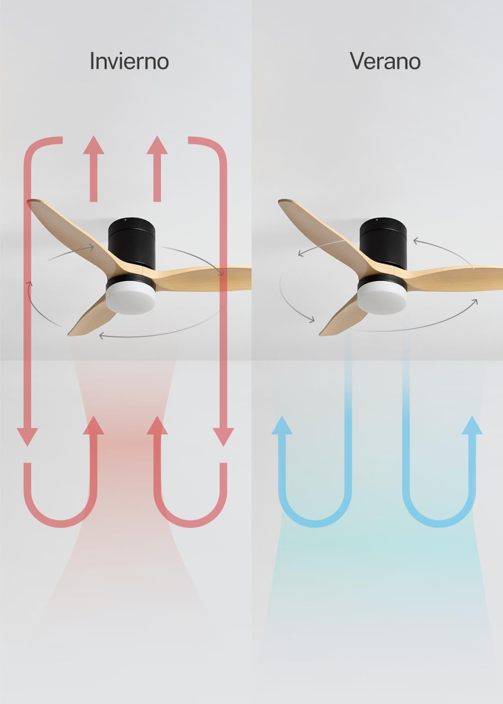 CREATE - WINDCALM S - Ø112 cm - Ventilateur plafond LED, télécommande, été/hiver, minuteur