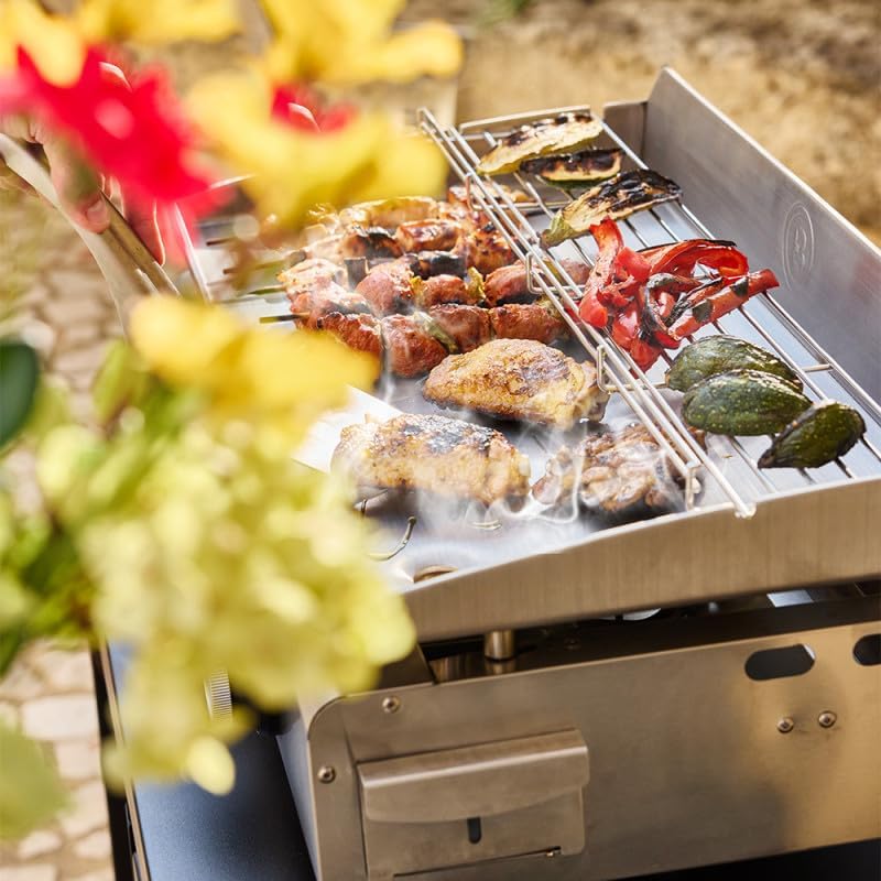 Favex - Silvia IIG Evo Inox - 67x34 cm - Plancha inox 3 brûleurs, housse, 7,95kW - SILVIAIIGEVO