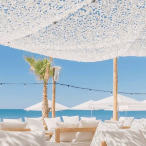 Salon en bord de mer avec couvertures à baldaquin blanc, chaises longues et palmiers sur fond de ciel bleu.
