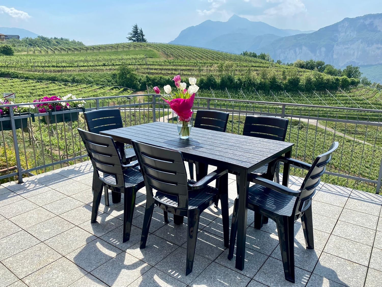 Thomas & Anita - Ensemble repas 6 places - table acier 180x90cm et chaises empilables effet bois