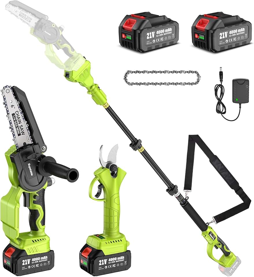 karaca-alisveris - élagueuse sur perche 6 pouces, portée 4,6m, 2x4000mAh