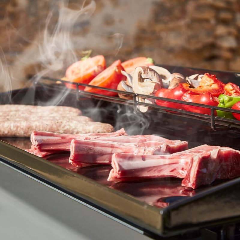 Favex - Silvia II G - plaque 52x34 cm - 2 feux gaz, 5,3 kW, 8 personnes