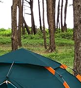 Plusieurs vues d'une tente ou d'un abri de camping vert foncé installé dans une zone boisée, montrant différents angles et différentes étapes d'installation.