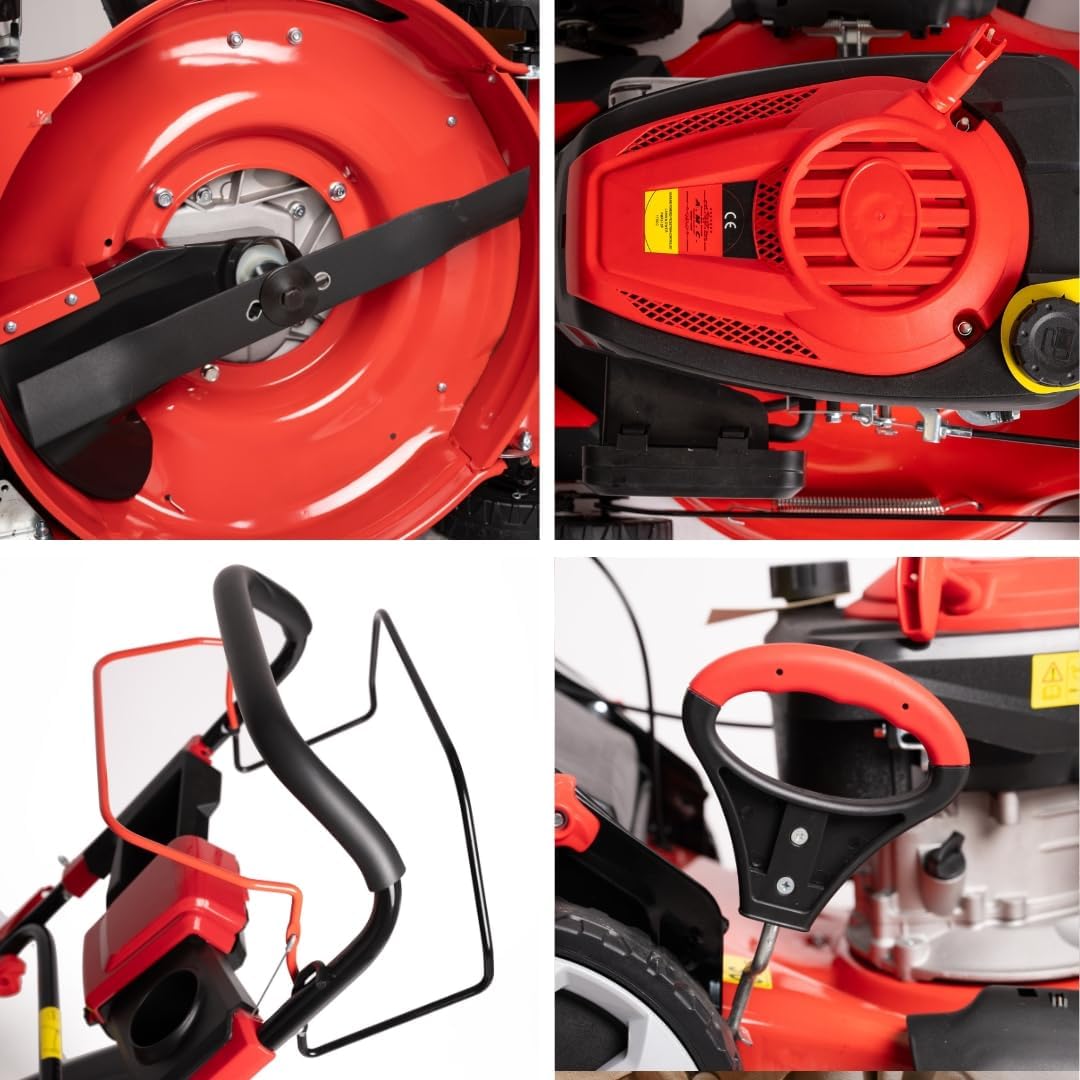 karaca-alisveris Tondeuse à gazon à explosion automotrice 4in1-4 CV, Tondeuse à gazon thermique autoportée - Moteur 170cc 4 temps avec autotraction - Largeur de coupe 51 cm - Mulching - Panier de collecte 60L