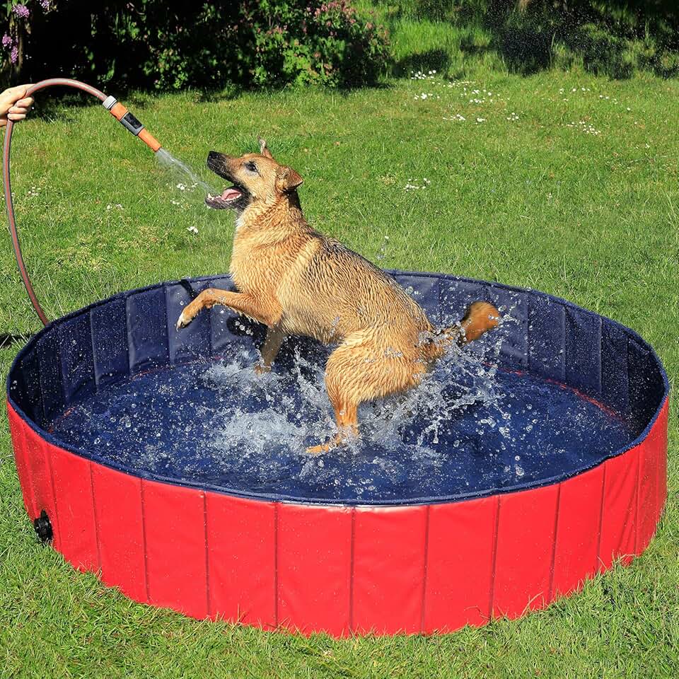 karaca-alisveris - Piscine pliable Ø160x30cm - PVC antidérapant, bouchon vidange