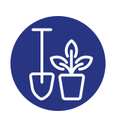 d'une plante en pot et d'une pelle