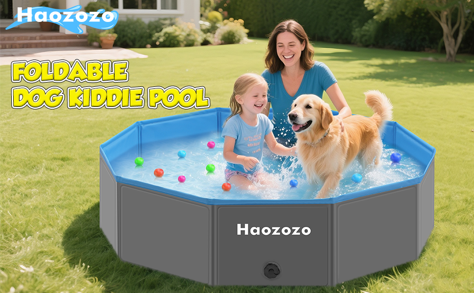 Piscine pour Chien
