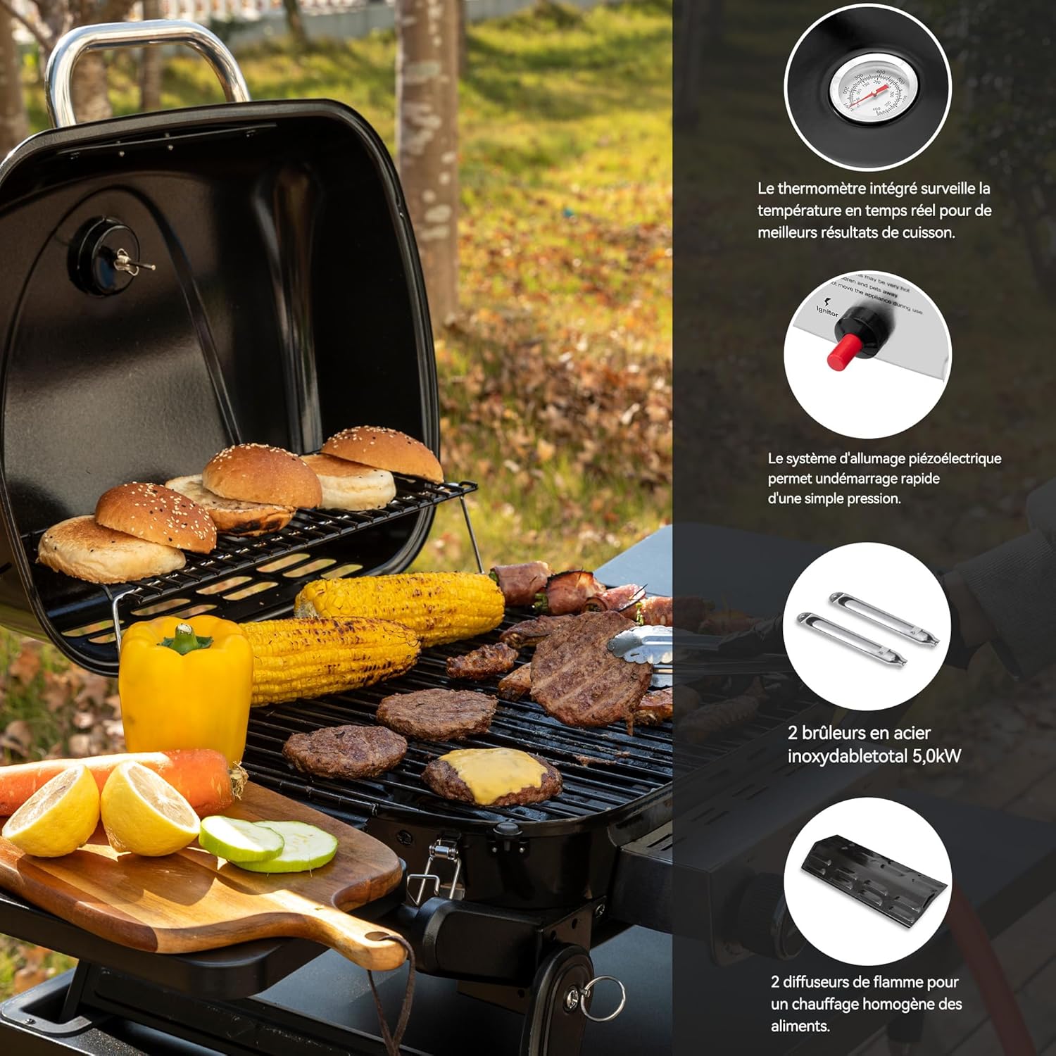 karaca-alisveris - Barbecue Gaz 2 brûleurs - 48x37 cm - tables pliables, 5kW