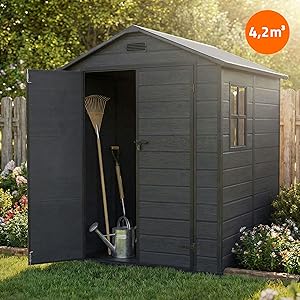 Abri de jardin en plastique gris foncé/anthracite avec porte simple et petite fenêtre sur gazon. Badge de prix orange visible dans le coin supérieur, correspondant à l'image 3.